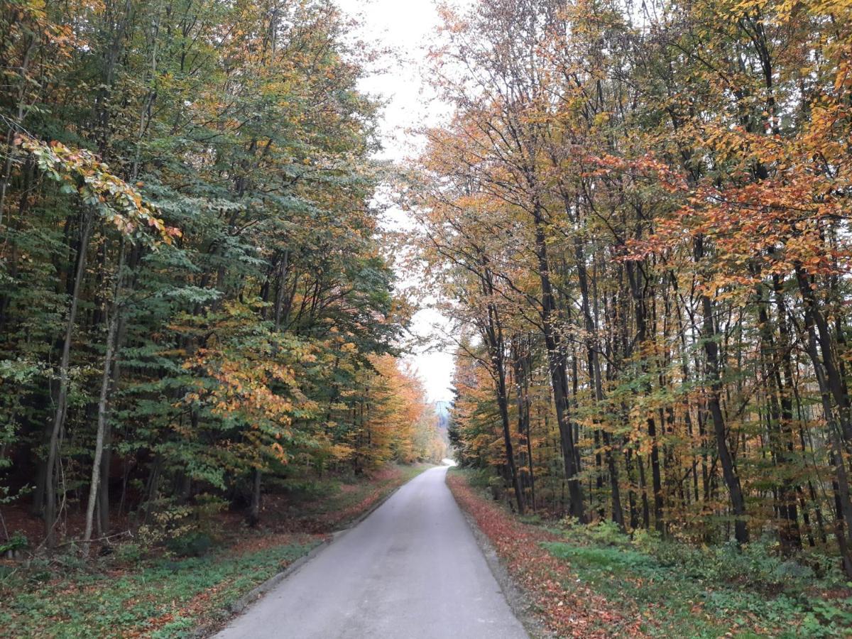 Erholungsheim Im Wienerwald Irenental Exterior photo